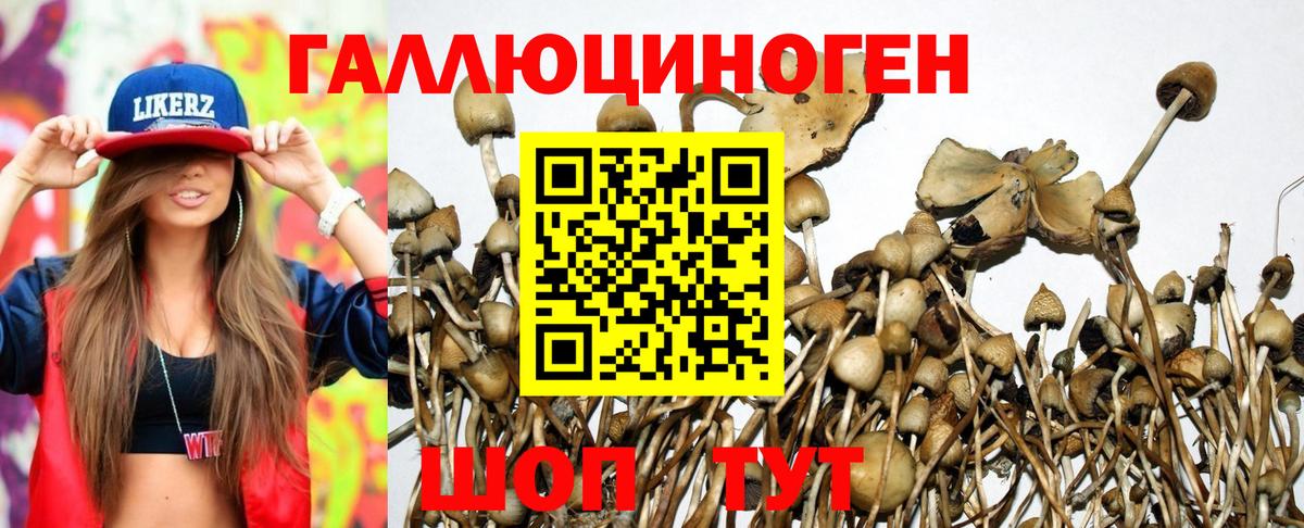 Псилоцибиновые грибы прущие грибы  Галлюциногенные грибы Psilocybe  Комсомольск-на-Амуре  Вход с VPN 